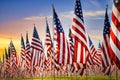 American flags standing in the green field at sunrise Royalty Free Stock Photo