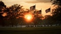 American flags at sunset on cemetery set up. Happy Veterans Day, Memorial Day, Independence Day Royalty Free Stock Photo