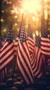 American flags at sunset on cemetery set up. Happy Veterans Day, Memorial Day, Independence Day Royalty Free Stock Photo