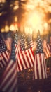 American flags at sunset on cemetery set up. Happy Veterans Day, Memorial Day, Independence Day Royalty Free Stock Photo