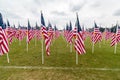 American Flags on Veteran`s Day, Field of Honor Royalty Free Stock Photo