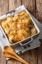 American food: tetrazzini with spaghetti, mushrooms, cheese, chi