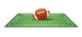 American football ball on grass