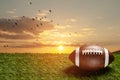 American football ball on green grass field on background of sunset sky. Banner. Royalty Free Stock Photo