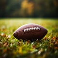 American football closeup, vibrant green field, ideal for customized text Royalty Free Stock Photo