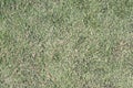 American football field grass Royalty Free Stock Photo