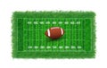 American football field with real grass textured,