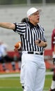 American football game - official calls a penalty