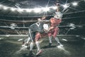 American football players in the action grand arena Royalty Free Stock Photo