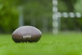 American football, rugby ball on green grass field background Royalty Free Stock Photo