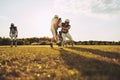 American football teammates practicing tackling on a sports fiel Royalty Free Stock Photo