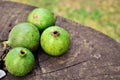 Various green fruits of the American Genipa on the tree trunk table