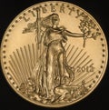 American Gold Eagle Coin (Obverse) Royalty Free Stock Photo