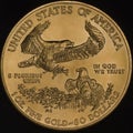 American Gold Eagle Coin (Reverse) Royalty Free Stock Photo