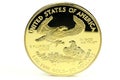 American gold eagle Royalty Free Stock Photo