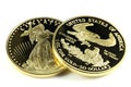 American gold eagle Royalty Free Stock Photo