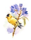 American Goldfinch Bird on the branch with flowers Watercolor Fall Illustration Hand Painted