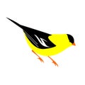 American Goldfinch Clipart