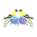 American goldfinch couples on rose twigs- seamless flowers and yellow birds Royalty Free Stock Photo