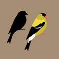 american goldfinch vector illustration style Flat side silhouette