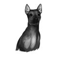 American Hairless Terrier AHT dog digital art illustration in black and white colors. Rare breed of dog variant of Rat Terrier. T-