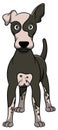 American Hairless Terrier Cartoon Dog