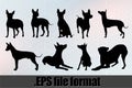 American Hairless Terrier Dog Silhouette Bundle SVG