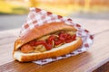 American hot dog sandwich with sausage, onion and sauce