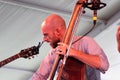 Andrew Bird in concert at Newport Folk Festival