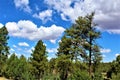 American Legion Post 86 Freedom Gathering Ride fund raiser in Northern Arizona, United States Royalty Free Stock Photo