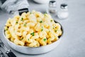 American mac and cheese, macaroni and cheese pasta in pan Royalty Free Stock Photo
