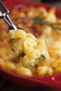 American mac and cheese pasta Royalty Free Stock Photo