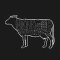 American Meat cuts diagram poster design. Beef scheme for butcher shop vector illustration. Cow animal silhouette vintage retro