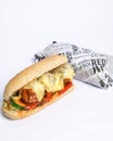 American meatball subway breat Royalty Free Stock Photo