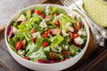 American Michigan salad with dried cherries, blue cheese, and pecan tossed with a vinaigrette dressing closeup on the plate. Royalty Free Stock Photo