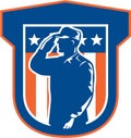 American Miilitary Serviceman Salute Side Crest