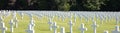 The American military cemetary in Luxembourg Royalty Free Stock Photo