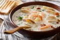 American milk chowder soup close-up on a in a bowl. horizon Royalty Free Stock Photo