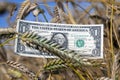 American money in the agricultural field together in cereal wheat