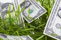 American money in the agricultural field together in cereal wheat