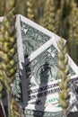 American money in the agricultural field together in cereal wheat