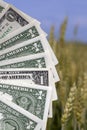 American money in the agricultural field together in cereal wheat