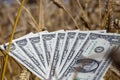 American money in the agricultural field together in cereal wheat