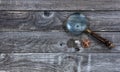 American Morgan silver dollars and one Indian head cent coin on rustic wood table