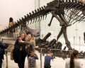 American Museum of Natural History, Tourism, Dinosaurs Royalty Free Stock Photo