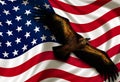 American National Flag waving. USA National symbol. Eagle flight. Independence Day