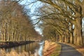 American oaks along the Apeldoorns kanaal and biking road Royalty Free Stock Photo