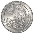 American one quarter coin - el yunque national park Royalty Free Stock Photo