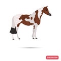 American Painthorse color flat icon