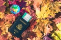 American passport with boarding pass and toy globe lying on the maple leaves in the autumn forest. Travel Concept. Top view. Indi